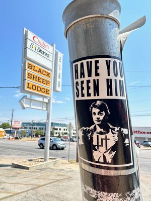 Black Sheep Lodge by null