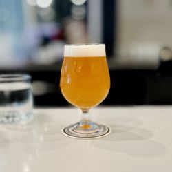 Lawrence Beer Co - Strawberry Imperial Pils