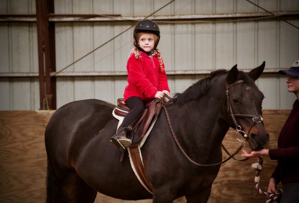Cross Creek Equestrian Center - equestrian in Hamilton, OH