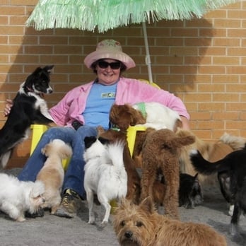 Play Dog Excellent - The Beach @ PDX - Pet Sitting Near Me - Chattanooga, Tennessee Play Dog Excellent - The Beach @ PDX - Pet Sitting Near Me - Chattanooga, Tennessee