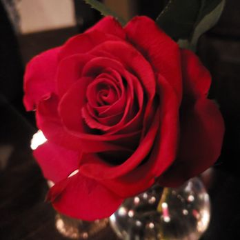 Thai Pepper True Thai Kitchen - Pretty little rose out on all the tables on Valentine's Day - Thai Near Me - Tacoma, Washington