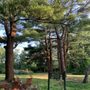 Photo of Founders’ Brook Park