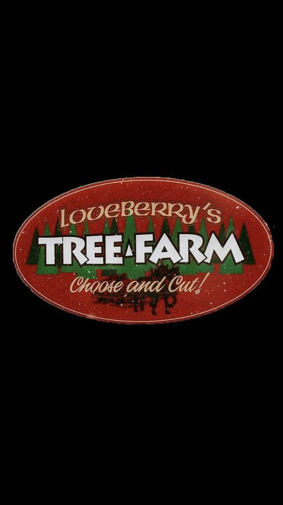 LOVEBERRY’S TREE FARM Updated September 2024 165 S Ray Quincy Rd