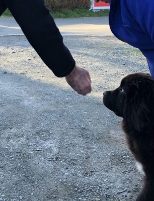 The Inn by Mallard Cottage by null