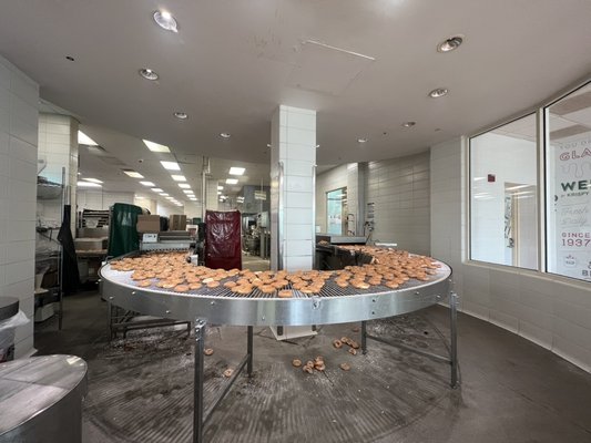 Photo of Krispy Kreme - Elk Grove Village, IL, US. a conveyor belt full of krispy kreme doughnuts