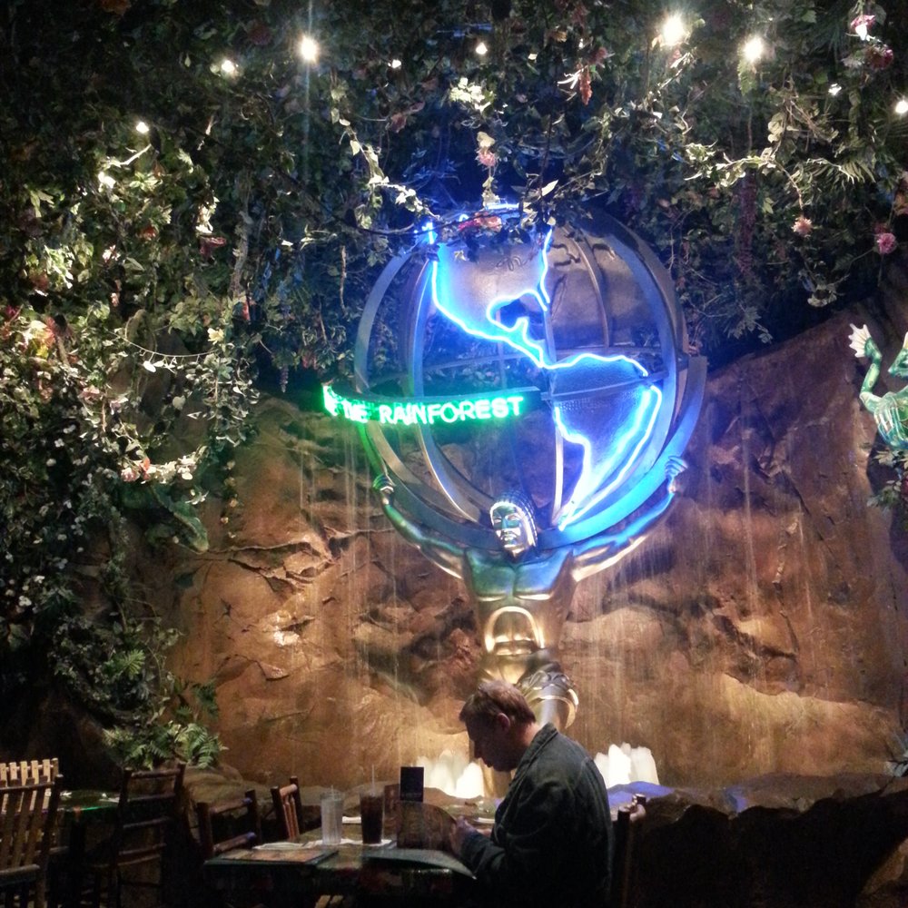 Rainforest Cafe - "Rescue the rainforest". The scenic view of the place is awsome, great for kids and adults alike. - American Near Me - Katy, Texas