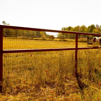 Deer Lake Cabins Ranch Resort - Resorts Near Me - Mount Vernon, Texas