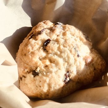 Pine Scone Cafe - Southern Pines - Blueberry macadamia scone - Coffee & Tea Near Me - Southern Pines, North Carolina Pine Scone Cafe - Southern Pines - Blueberry macadamia scone - Coffee & Tea Near Me - Southern Pines, North Carolina