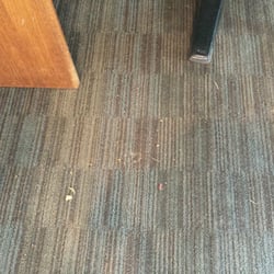 Kuma Sushi - Carpet has not seen a vacuum in ages.
