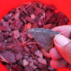Mercury Mulch