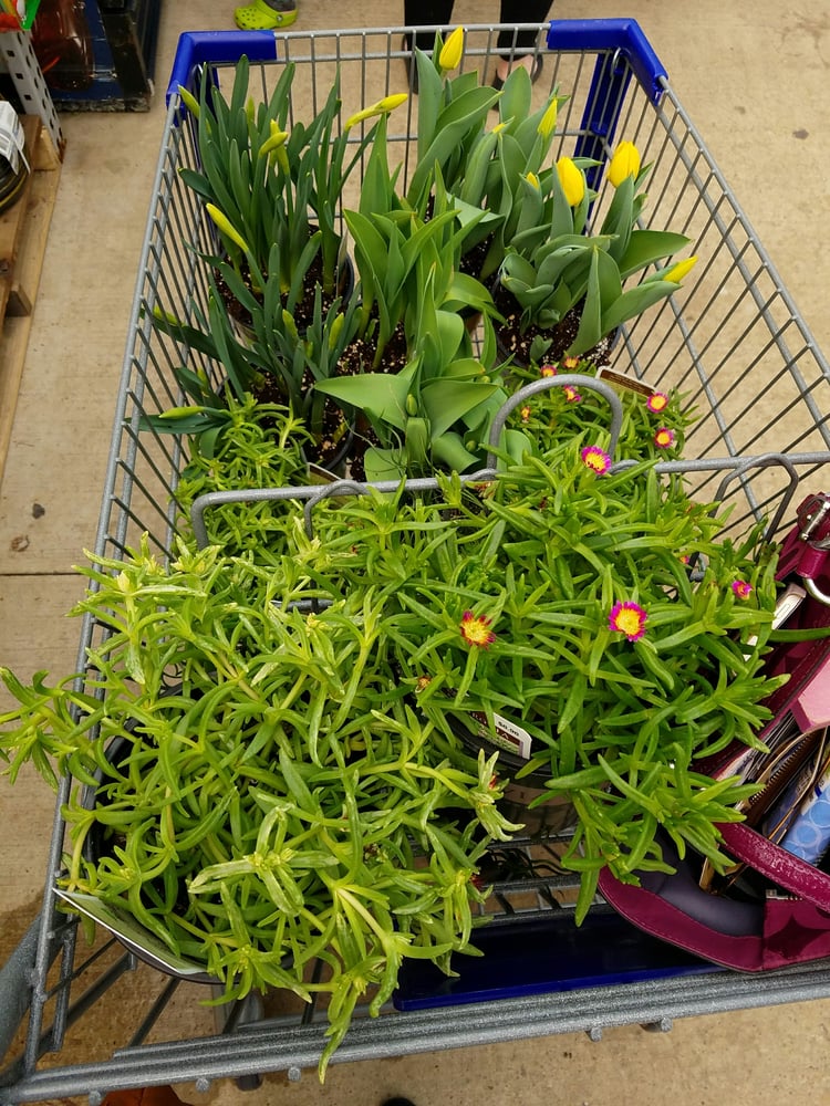 LOWE’S HOME IMPROVEMENT Updated August 2024 18 Reviews 1005