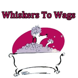 Whiskers To Wags