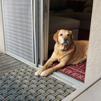 Sunny Side Mobile Veterinary - Veterinarians Near Me Sunny Side Mobile Veterinary - Veterinarians Near Me