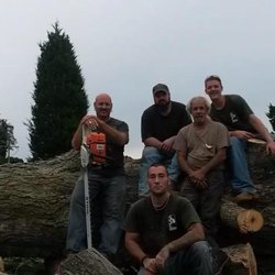 SSC Tree Experts