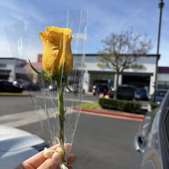 Drybar Anaheim Hills - They gave me a rose for valentines! - Blow Dry/Out Services Near Me - Anaheim, California Drybar Anaheim Hills - They gave me a rose for valentines! - Blow Dry/Out Services Near Me - Anaheim, California