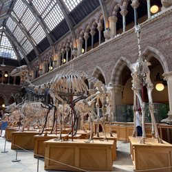 Oxford University Museum Of Natural History