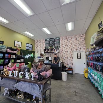 Lucky Dog Pet Grooming - They made some upgrades and made their back area bigger for grooming. Looks great! - Pet Groomers Near Me - Panorama, California Lucky Dog Pet Grooming - They made some upgrades and made their back area bigger for grooming. Looks great! - Pet Groomers Near Me - Panorama, California