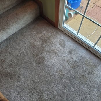 Dunne Right Cleaners - Yes, the dog pees right by the door. She refuses to use the doorbell ever since we took a fence down and put her on a leash outside. - Carpet Cleaning Near Me
