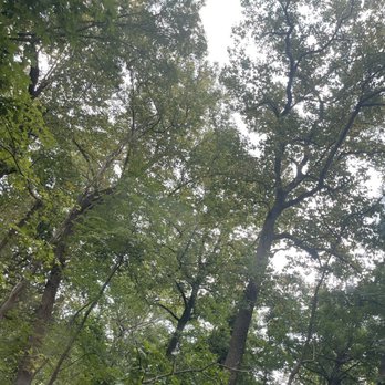 Patapsco Valley State Park - Parks Near Me - Ellicott City, Maryland