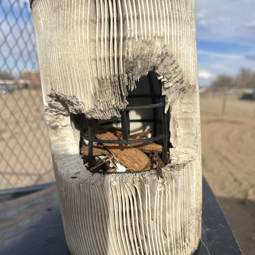 Alexander Towing - Mouse damage to our air filter - Towing Near Me - Hanksville, Utah Alexander Towing - Mouse damage to our air filter - Towing Near Me - Hanksville, Utah
