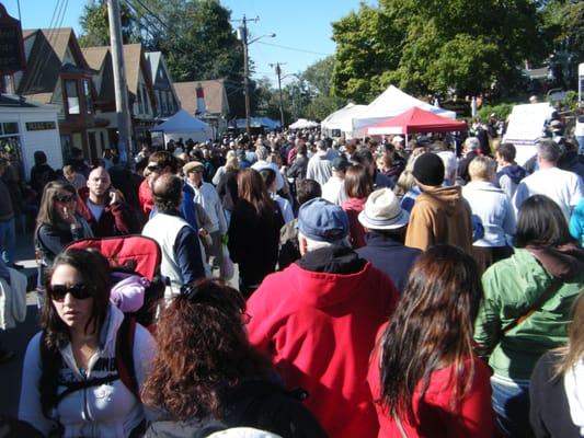Wellfleet OysterFest by null