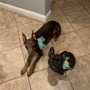 Jackie's Dog Grooming - Pet Groomers Near Me - Manteca, California Jackie's Dog Grooming - Pet Groomers Near Me - Manteca, California