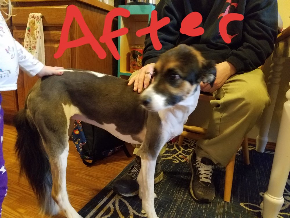 BOW WOW BOUTIQUE Updated August 2024 10 Photos 2108 E 7th St