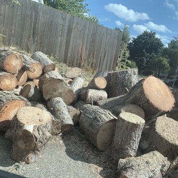 Green Planet Tree Care - 8/12/20 Tree cut - Tree Services Near Me - Beaverton, Oregon