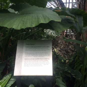 Lincoln Park Conservatory - Parks Near Me - Chicago, Illinois