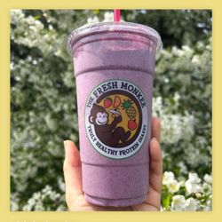 The Fresh Monkee