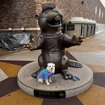 Buc-ee's - Gas Stations Near Me - Waller, Texas
