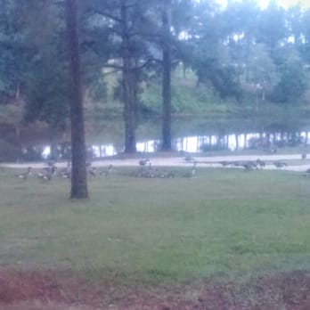 Lu Mil Vineyard - Fishing pond - Venues & Event Spaces Near Me - Elizabethtown, North Carolina Lu Mil Vineyard - Fishing pond - Venues & Event Spaces Near Me - Elizabethtown, North Carolina