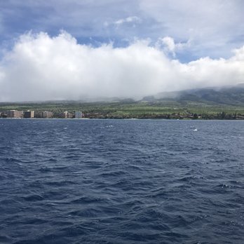 Trilogy Excursions - Snorkeling Near Me - Lahaina, Hawaii Trilogy Excursions - Snorkeling Near Me - Lahaina, Hawaii