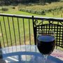 Odom Springs Vineyards