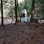 Photo of Cabins In the Pines