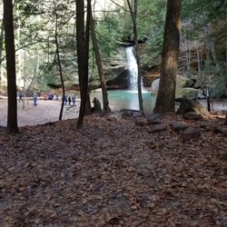 Cabins In the Pines