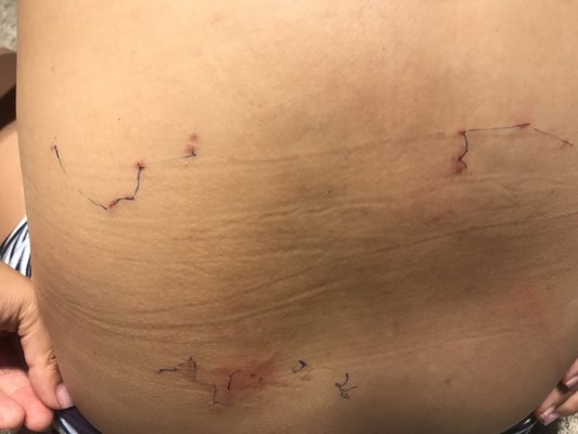 Under Canvas Mount Rushmore by null