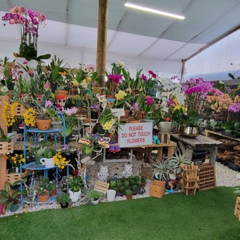 By Brothers - Fruits & Veggies Near Me - Miami, Florida By Brothers - Fruits & Veggies Near Me - Miami, Florida