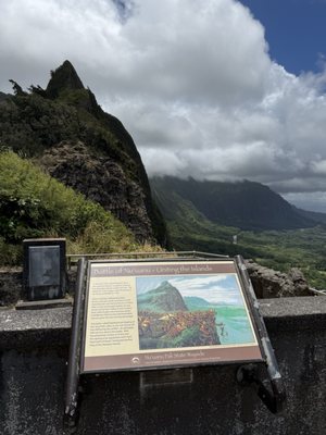 Nuʻuanu Pali State Wayside by null