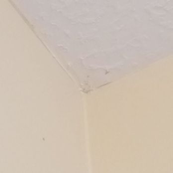 Roland's Painting & Construction - Painters Near Me Roland's Painting & Construction - Painters Near Me