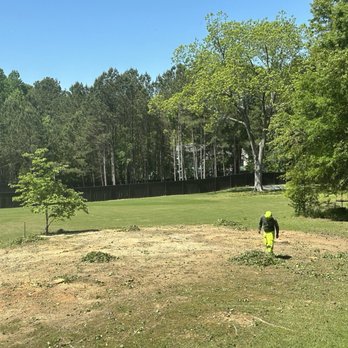 ArborForce Tree Services - Ready for stump grinding - Tree Services Near Me