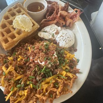 The Leaning Maple - Coffee & Tea Near Me - Olympia, Washington
