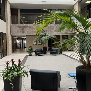 Mulberry Chiropractic - Main Lobby - Chiropractors Near Me - Houston, Texas Mulberry Chiropractic - Main Lobby - Chiropractors Near Me - Houston, Texas
