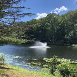 You can walk around the pond You can walk around the pond