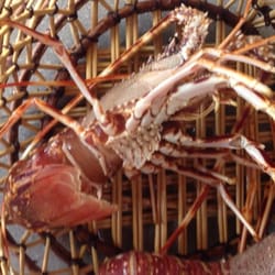 Restaurant le Casabianca - Ma langouste pour ce midi #rirediabolique