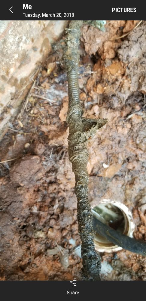 Slide of The Royal Flush Plumbing