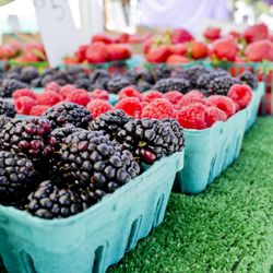 VA Palo Alto Farmers' Market