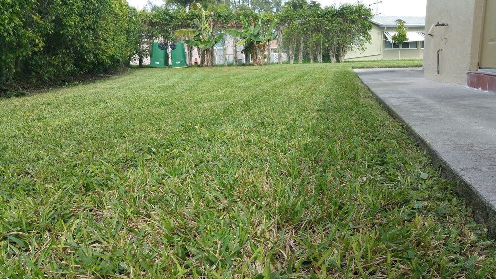 GRASSLAND DJL Request a Quote Sunrise, Florida Landscaping