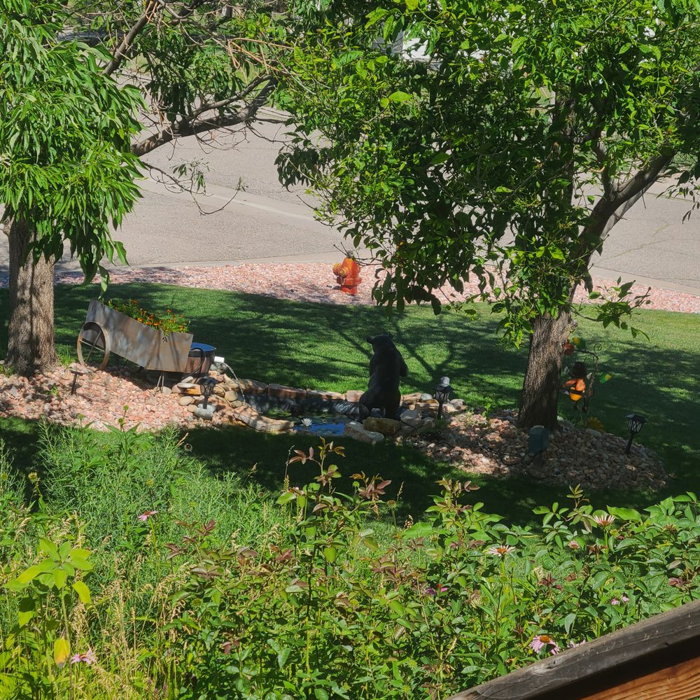 THE BEE GARDEN Updated April 2024 14 Photos 4700 Drivers Rd