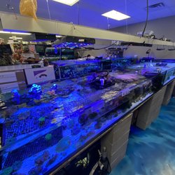 Professional Fish Keepers Aquarium Store - Coral tank